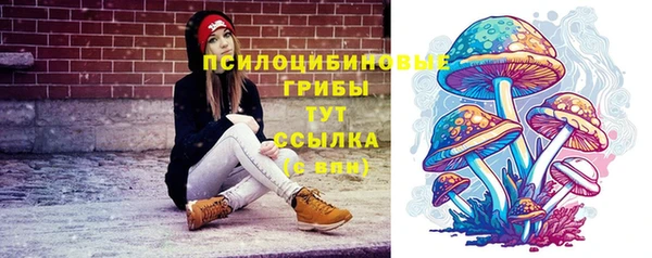 не бодяженный Арсеньев