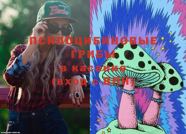 не бодяженный Арсеньев